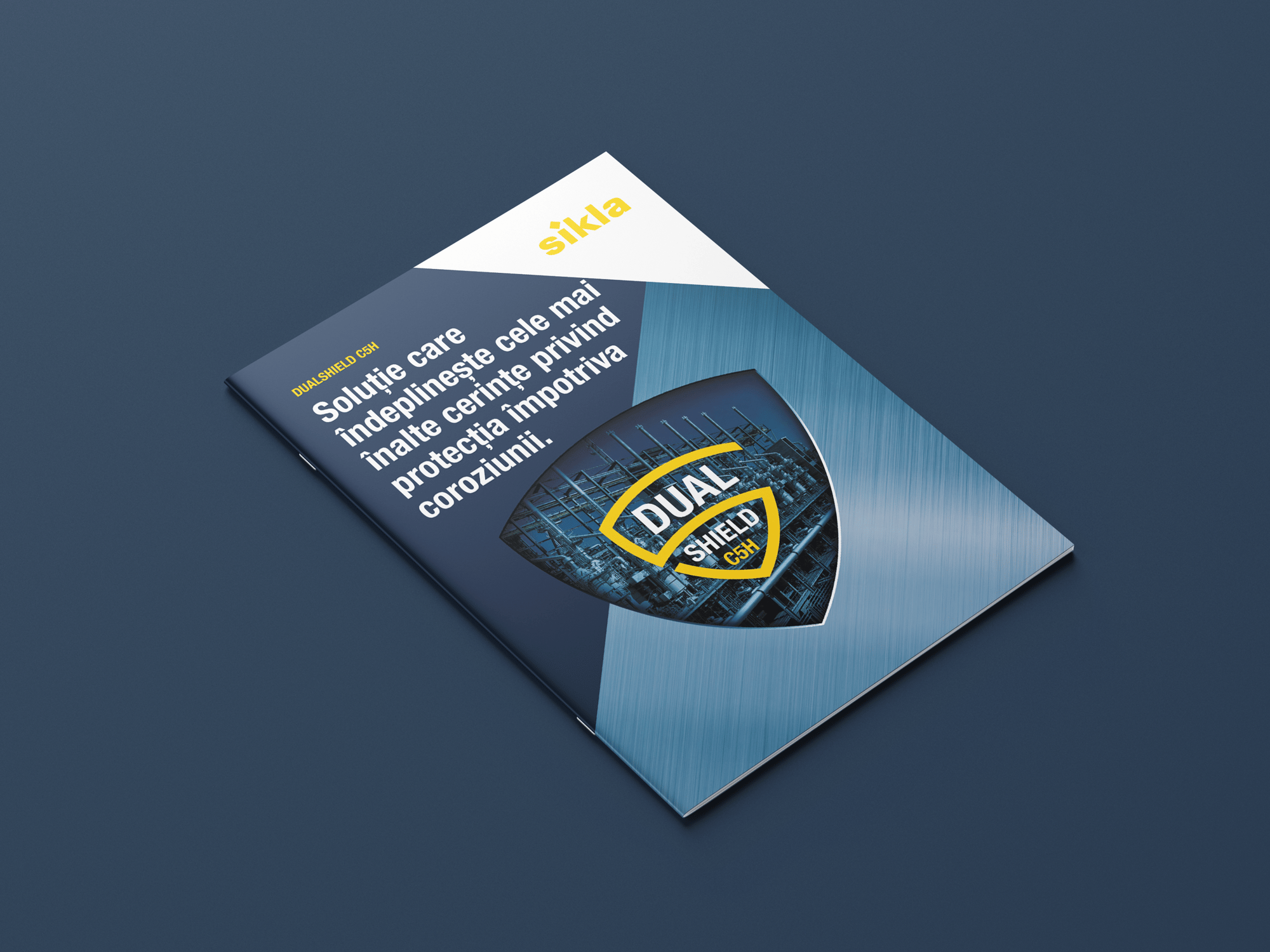 DUALSHIELD_Flyer_Mockup_RO